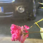 Pensión Teba Garden's 3*