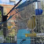 Teba Garden's