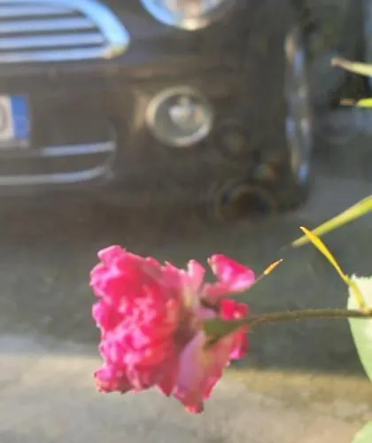 Gæstehus Teba Garden's 3*