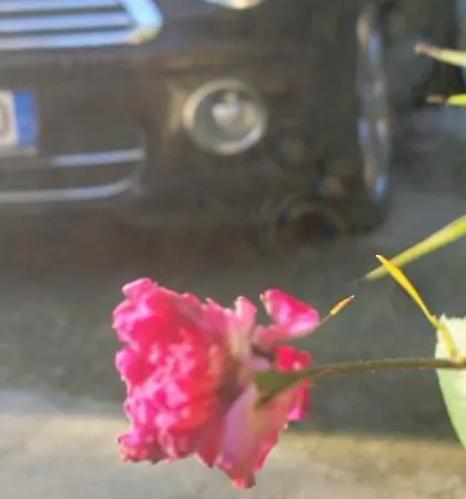 Maison d'hôtes Teba Garden's 3*