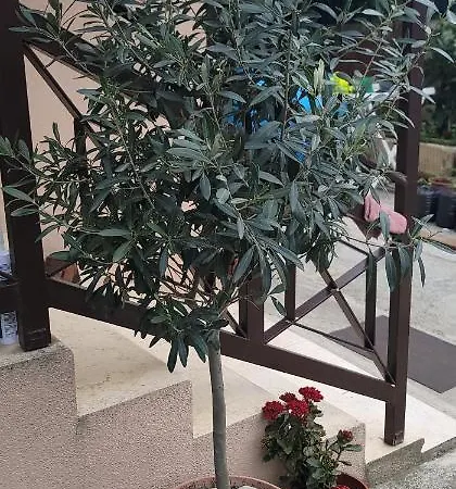 Pensionat Teba Garden's 3*