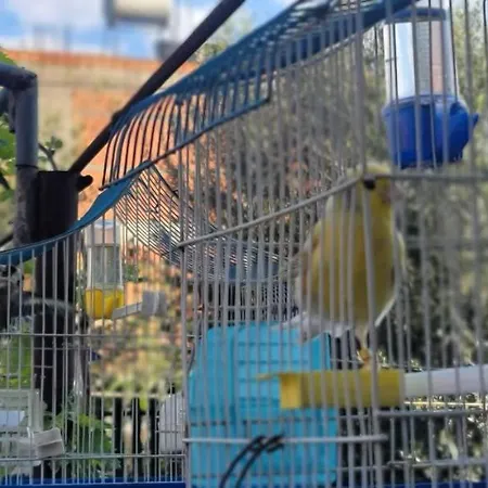Teba Garden's